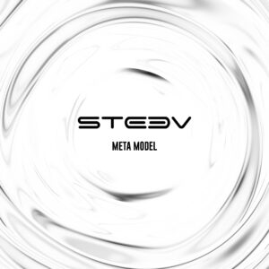 METAVERSE, Meta Model - cover artwork